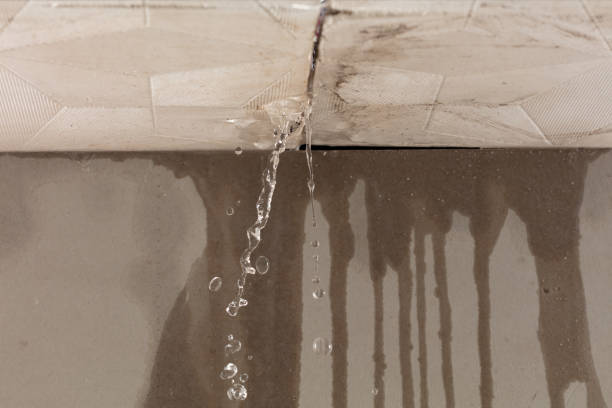 Professional Structural Drying technician working in Palmyra, ME